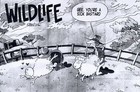 Song picture