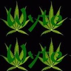 Picture for song 'Get High' by artist 'Wyte Gold aka Dub G'