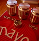 Picture for song 'Skreddy Mayo & Tele Demo' by artist 'Xander Farran'
