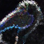 Picture for song 'Mutate' by artist 'Yatmandu'