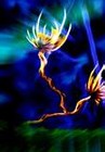 Picture for song 'Ahiria' by artist 'Yokky'