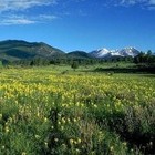 Picture for song 'Estrella de la Manana' by artist 'ZGRAF'