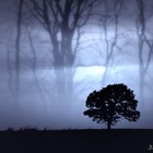 Picture for song 'MYSTIC * 2013' by artist 'Zhyar'