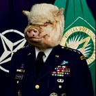 Picture for song 'war_pigs' by artist 'Zippo Tragedy'