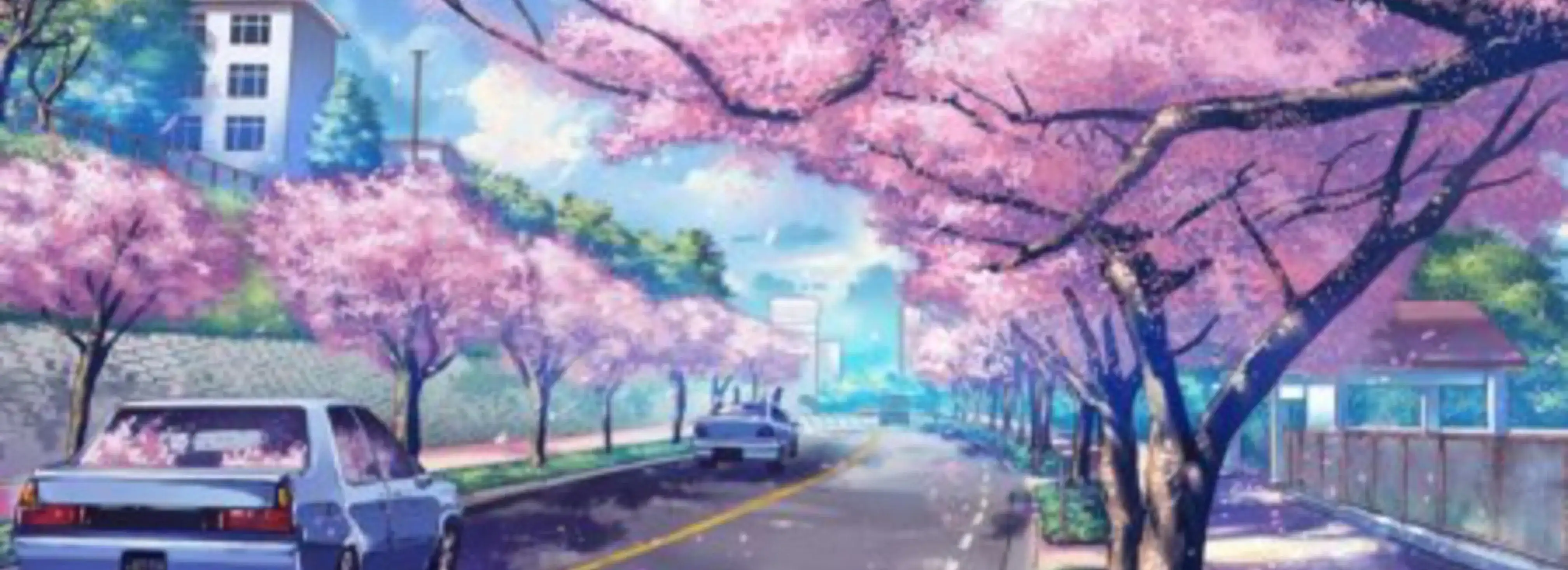 cover pic
