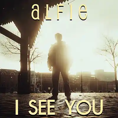 Picture for song 'I See You' by artist 'Alfie Koala'