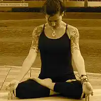 Picture for song 'Decent (Melanie) ' by artist 'Barry Bailey Roaring Mouse'