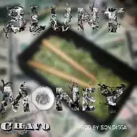 Picture for song 'Chavo aka Tro - Blunt Money (Prod. by Son Digga)' by artist 'Chavo'