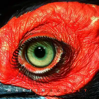 Picture for song 'ambiant trap' by artist 'Dozogue'