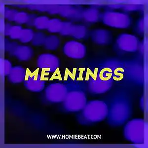 Picture for song 'Meanings' by artist 'Homiebeat'