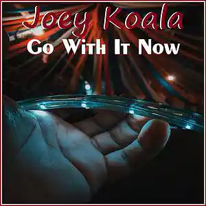 Picture for song 'Go With It Now' by artist 'Joey Koala'