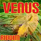 Song picture
