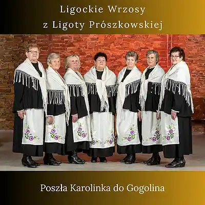 Picture for song 'Poszla Karolinka do Gogolina' by artist 'Ligockie Wrzosy z Ligoty Proszkowskiej'