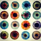Picture for song 'who you are' by artist 'RADIO-LAB'