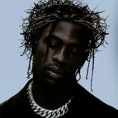 Picture for song 'IDGAF' by artist 'SinVstyle'