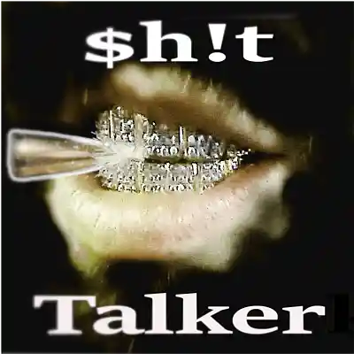 Picture for song '$hit Talker' by artist 'Swift Media'