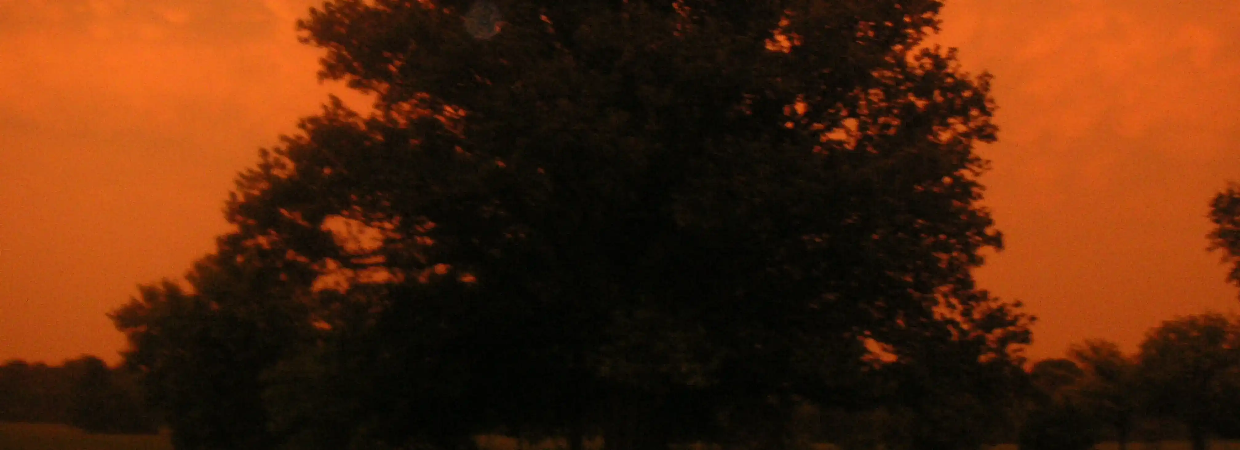 cover pic