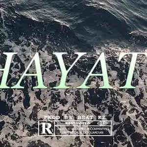 Picture for song 'HAYATY - cheb hasni x inkonnu type beat' by artist 'BEAT RZ'