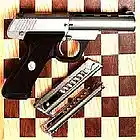 Picture for song 'Warrior On A Chessboard' by artist 'Hedgehog and Fraud'