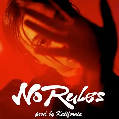 Picture for song 'No Rules (D#minor 88bpm) @kalifornia.lover x @prod' by artist 'Kalifornia'