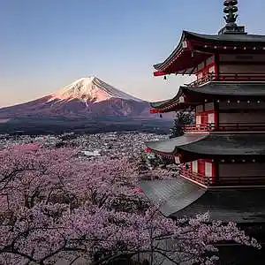 Picture for song 'YAMAZAKI - Hard Japanese Type Beat' by artist 'LIL YAZU BEATS'