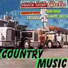 Picture for song 'Country Music' by artist 'Mitch Wayne'