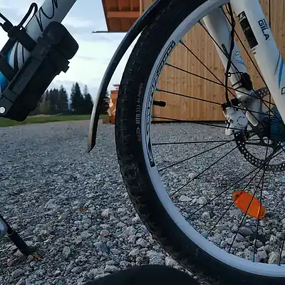 Picture for song '20250416_183131_FS_7_TARIQAMUSTAFWI' by artist '786 scheint-Al'lahs Bande'