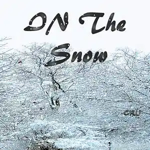Picture for song 'In The Snow' by artist 'Crushal Beats'