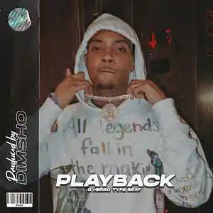 Picture for song 'Playback' by artist 'Dimsho Beats'