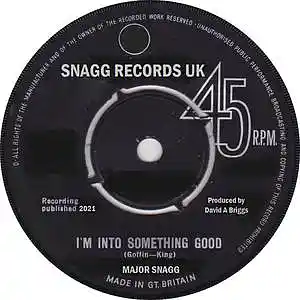 Picture for song 'I'm Into Something Good' by artist 'Major Snagg'