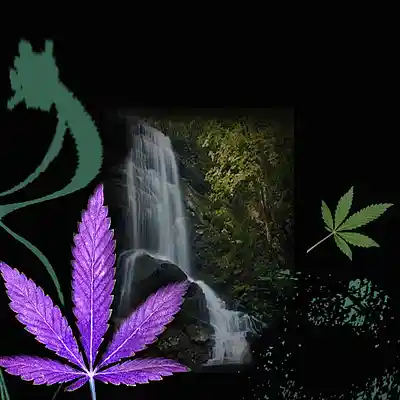 Picture for song 'Cover If It Makes You Happy' by artist 'Newlife blues Jazz thunder'
