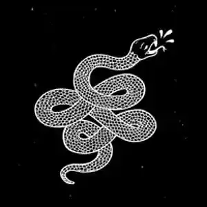 Picture for song 'DISRESPECT' by artist 'NY BANGERS'