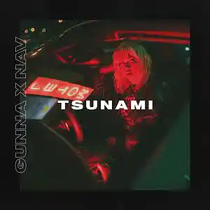 Picture for song 'Tsunami (Buy 1 Get 1 Free)' by artist 'SIGHOST'