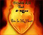 Picture for song 'St3alth K1d...'Pain In My Heart'...Feat 'B-Mize'' by artist 'ST3ALTH K1D'
