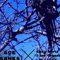 Picture for song 'Bossy Saucy' by artist 'Ace Sanks'
