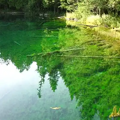 Picture for song '"Light Beans" by Austen Brauker' by artist 'Austen brauker'