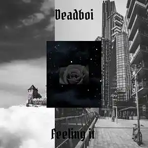 Picture for song 'Feeling It' by artist 'Deadboi'