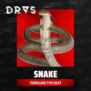 Picture for song 'Snake' by artist 'Dras On The Beat'