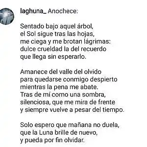 Picture for song 'Anochece' by artist 'El erizo en su cueva'