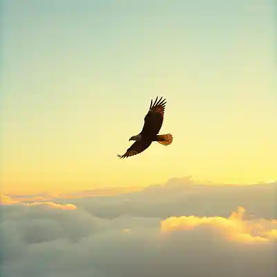 Picture for song 'Fly Away (Fremont Street)' by artist 'firesong'