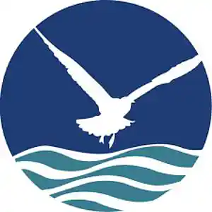 Picture for song 'It's Still Me [1]' by artist 'Johanna Renfro'