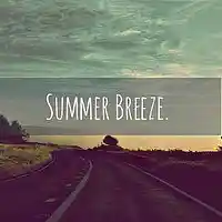Picture for song 'Summer Breeze-SOLD' by artist 'JuSaMeLoDy'