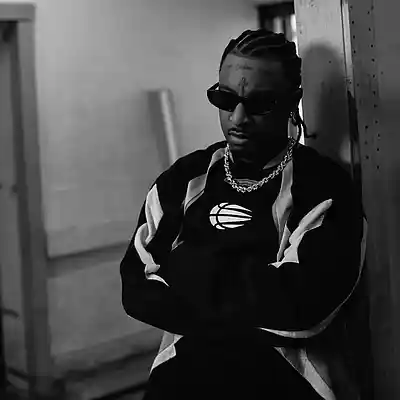 Picture for song '[atl, 21 savage] grapevine' by artist 'KING PITT'