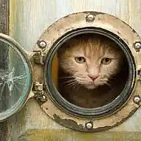 Picture for song 'Port Hole 2001' by artist 'Pedestrial'