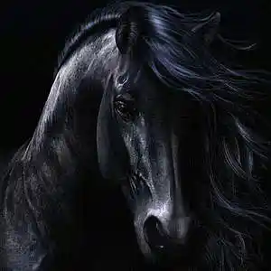 Picture for song 'new revisions' by artist 'ranxid'