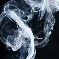 Picture for song 'VAPORS' by artist 'STEVE VICIOUS'