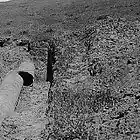 Picture for song 'Dangerous Man' by artist 'Tremor (AUS)'