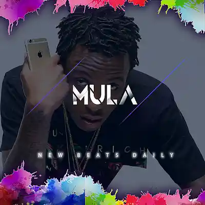 Picture for song 'Mula' by artist 'Brandnew Beats'