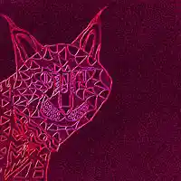 Picture for song 'Lynx' by artist 'Icefields'