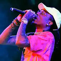 Picture for song 'Birds' by artist 'Ice Starr'